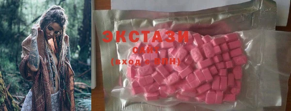 ПСИЛОЦИБИНОВЫЕ ГРИБЫ Няндома