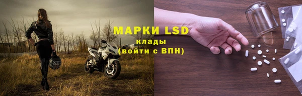 ПСИЛОЦИБИНОВЫЕ ГРИБЫ Няндома