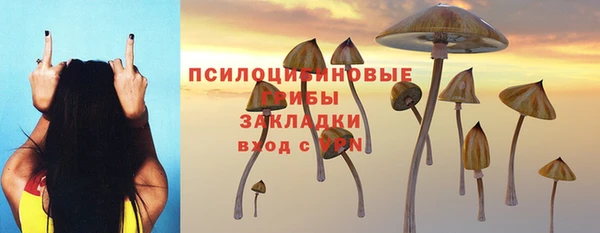 наркотики Новодвинск