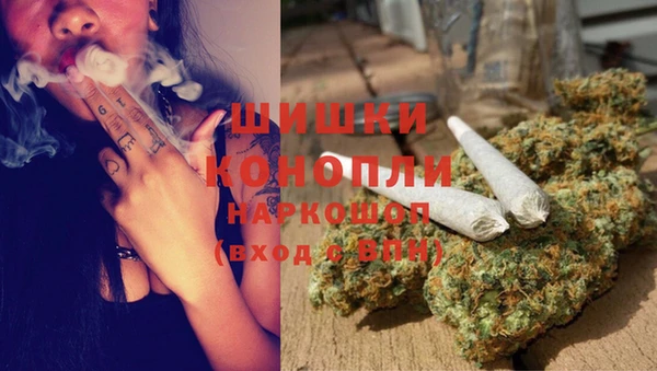 кокс Нягань