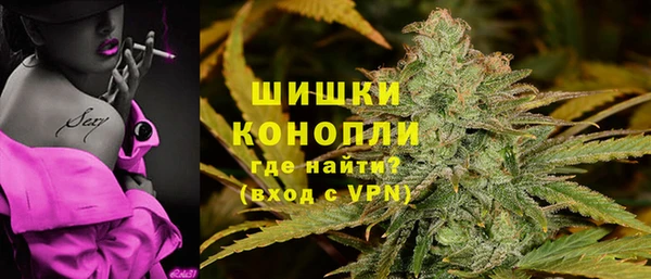 ПСИЛОЦИБИНОВЫЕ ГРИБЫ Няндома