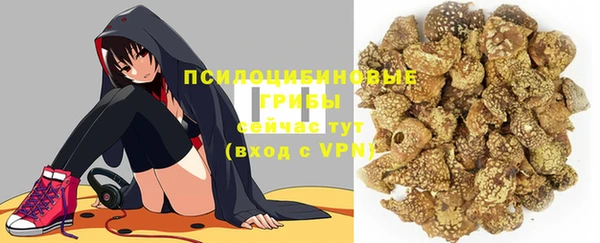 ПСИЛОЦИБИНОВЫЕ ГРИБЫ Няндома