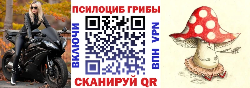Галлюциногенные грибы MAGIC MUSHROOMS  darknet какой сайт  Лысково 