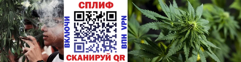 Бошки Шишки SATIVA & INDICA  цены   Лысково 